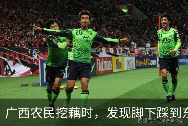 广西农民挖藕时，发现脚下踩到东西，众人合力将其挖出后全都傻眼